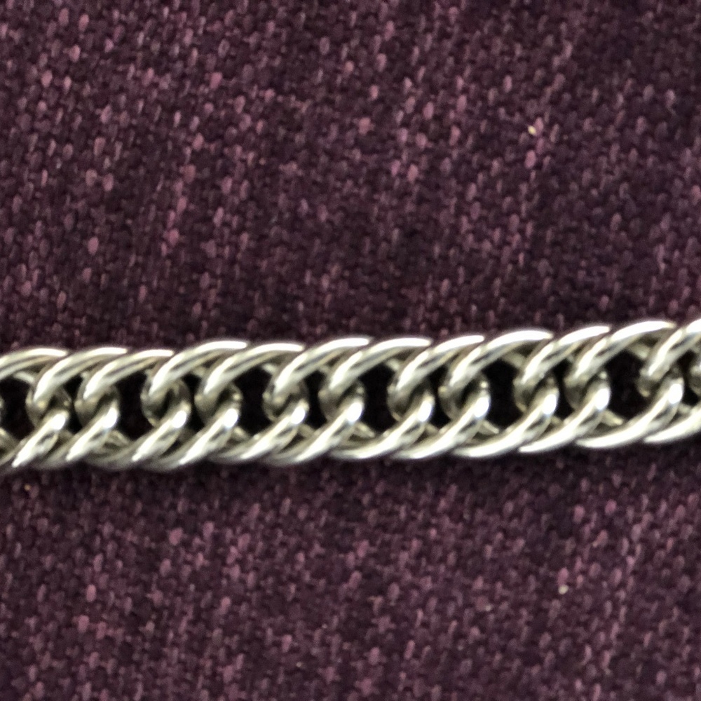 Erwin Pearl Silver Chain Link Necklace
